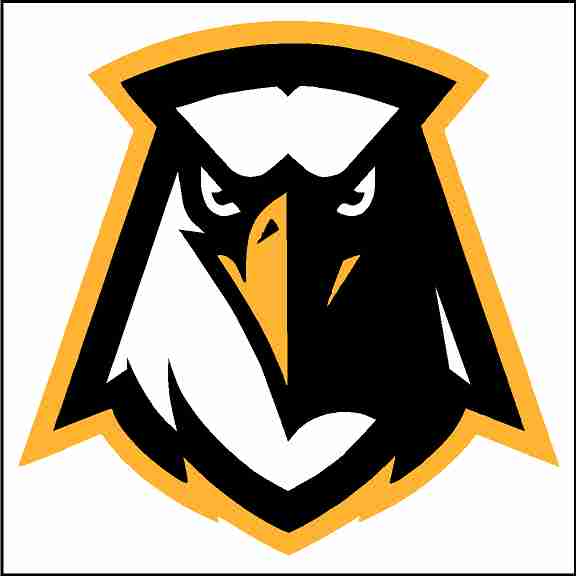 Monroeville School Mascot Eagle